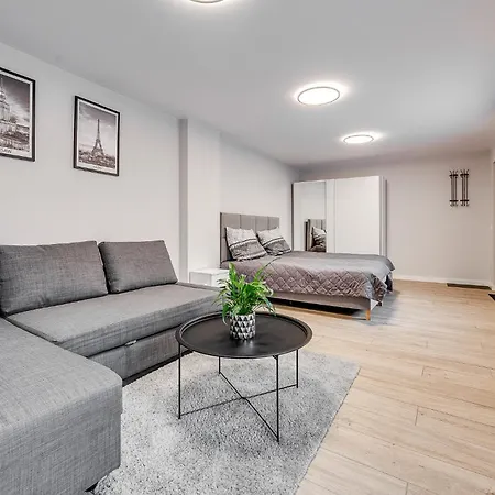 Apartmán Platinum 19 Rybnik (Silesia)