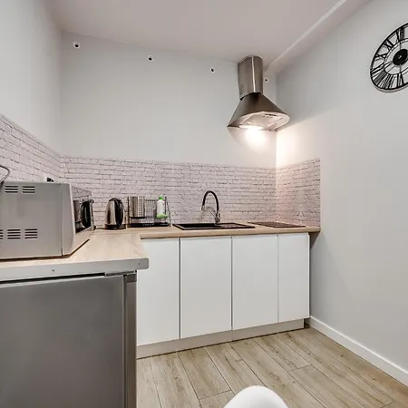 Platinum 19 Apartmán Rybnik (Silesia)