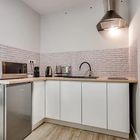 Apartmán Platinum 19 Rybnik (Silesia)