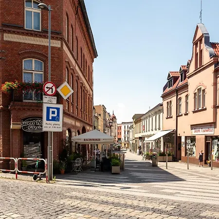 Platinum 19 Apartmán Rybnik (Silesia)
