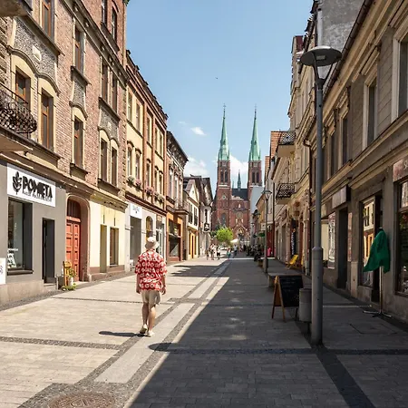 Apartmán Platinum 19 Rybnik (Silesia)