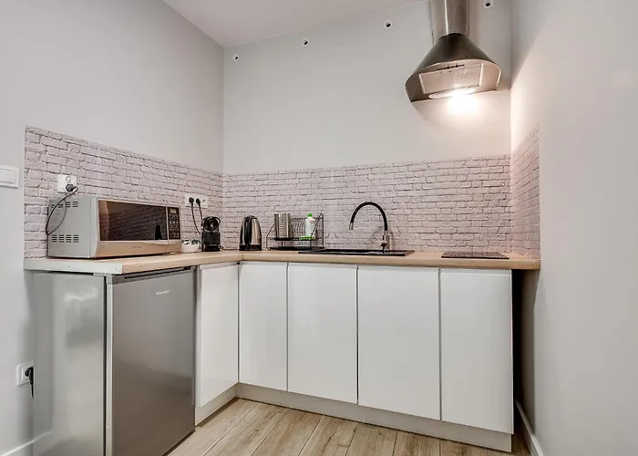 Apartmán Platinum 19 Rybnik (Silesia)